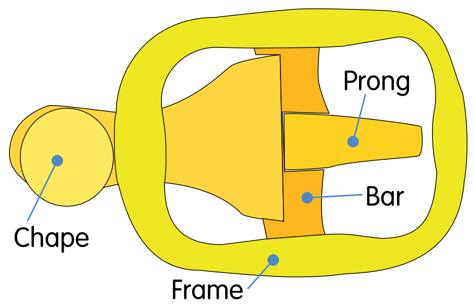Labelled diagram of a frame-and-prong belt buckle showing its named parts.